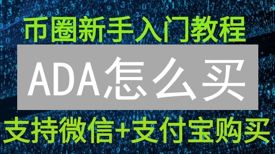 ADA怎么买？欧易C2C购买艾达币，新手避坑指南！