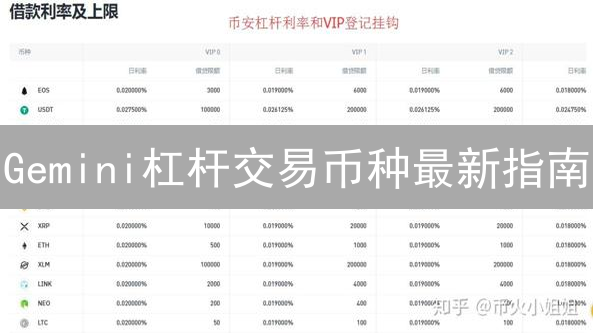 Gemini杠杆交易币种最新指南：新手必看！安全策略与风险提示