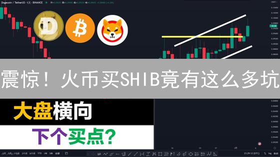 震惊！火币买SHIB竟有这么多坑？新手必看避坑指南！